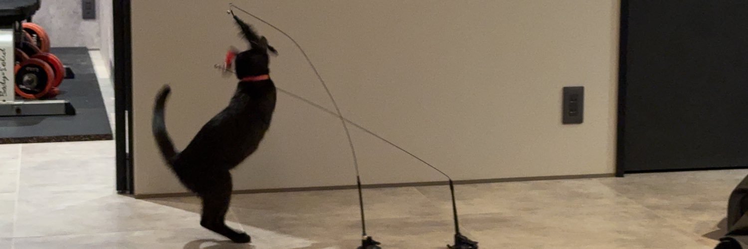 なご🐱¨̮⃝2m🦖 banner