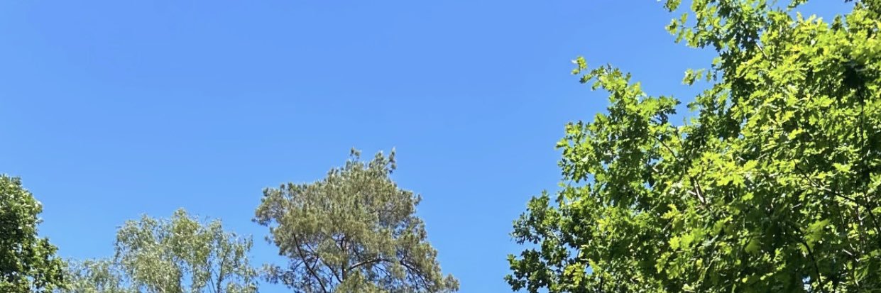 wavysterrr's profile banner image