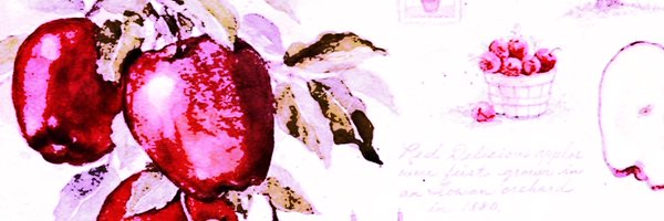 starcved Profile Banner