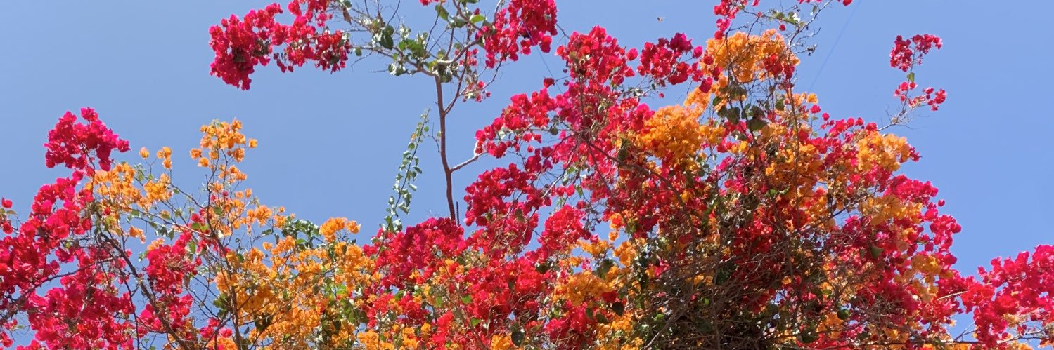 FabiBalam's profile banner image