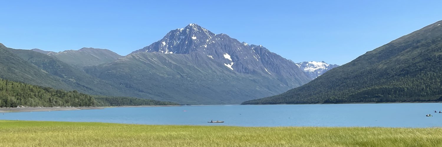 I Tweet Freely banner