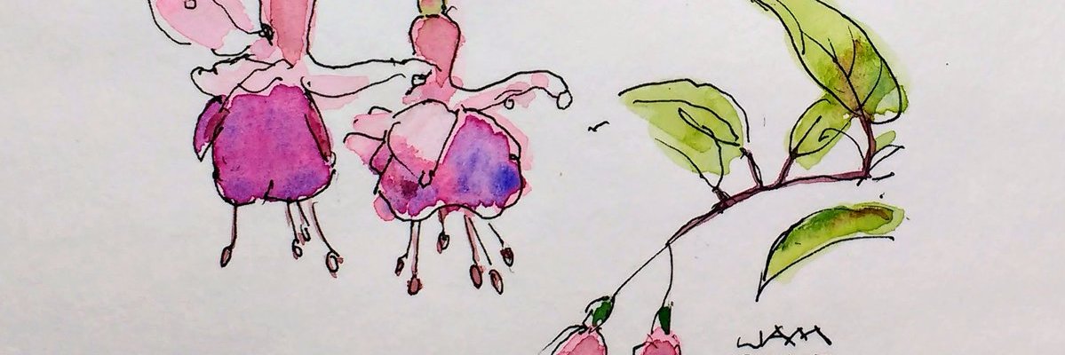 Barbara Stephens banner