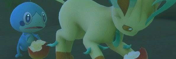 liya banner