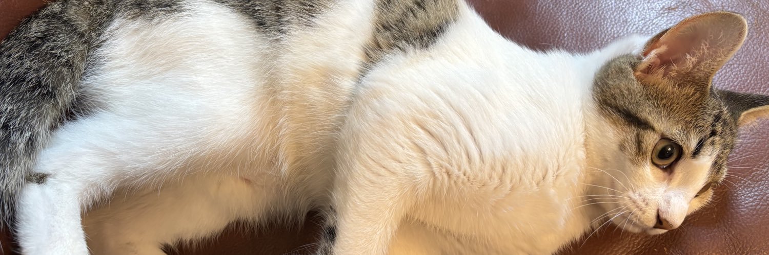 ぽん🐴ギルド池袋コンカフェ banner