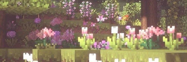 disangwon's profile banner image