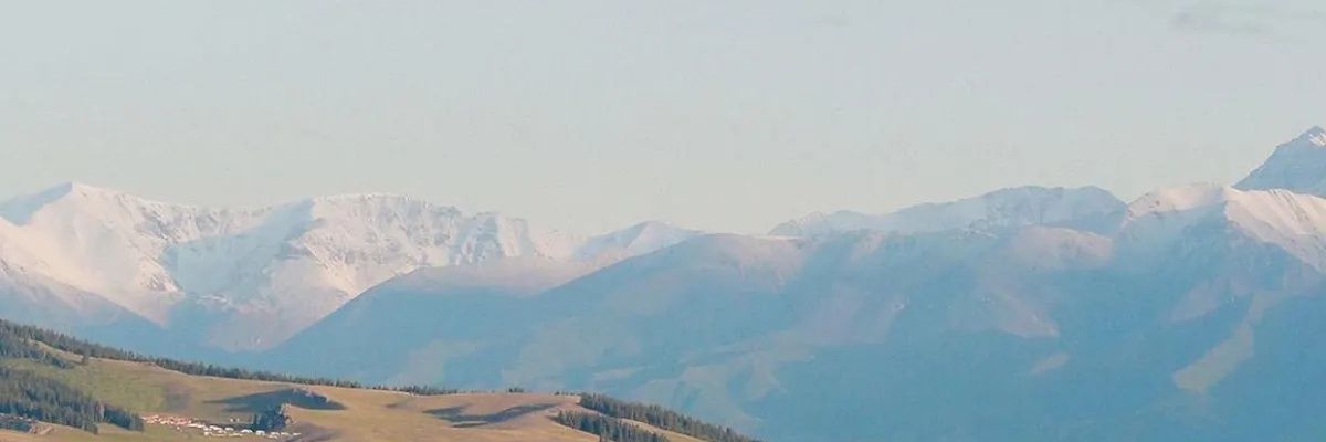 枫糖MapleSugar🍥🏳️‍⚧️ banner
