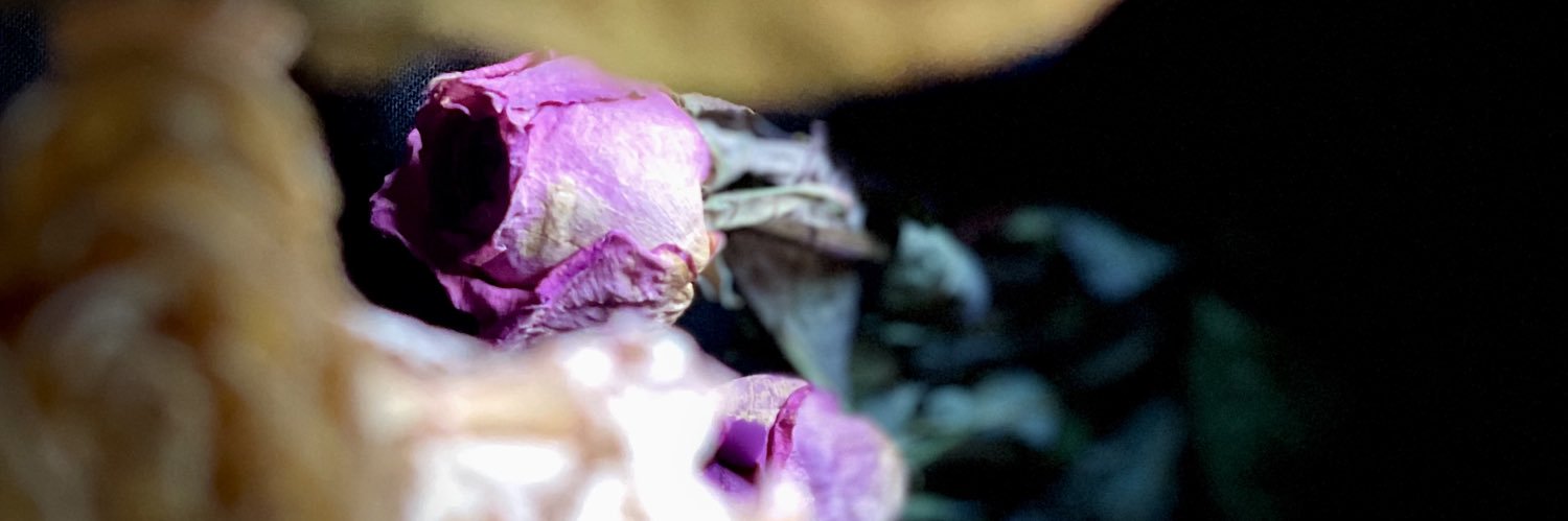 Antique_HCM's profile banner image