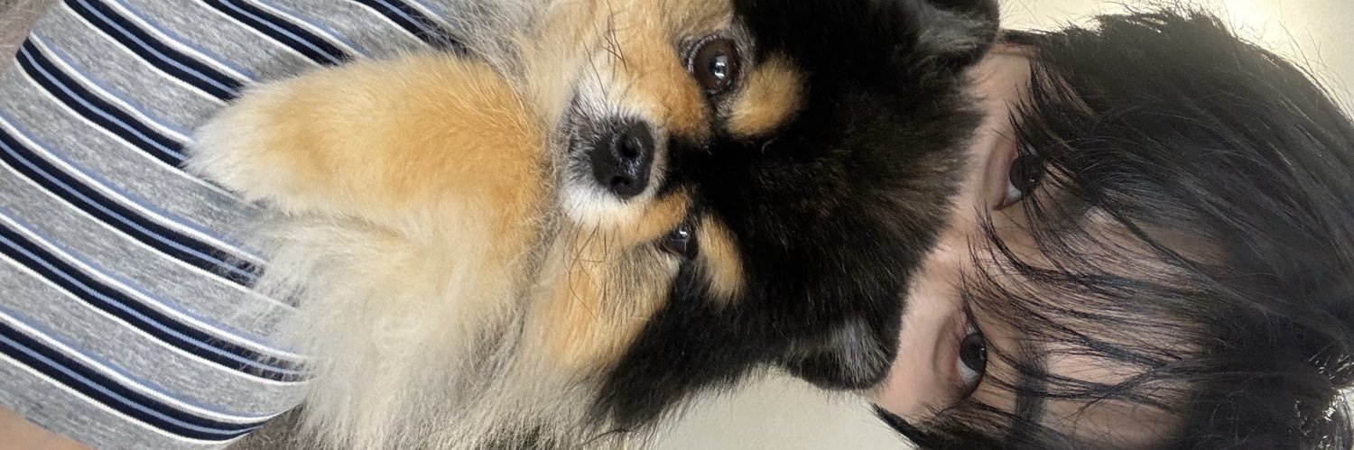 xinbbo1's profile banner image