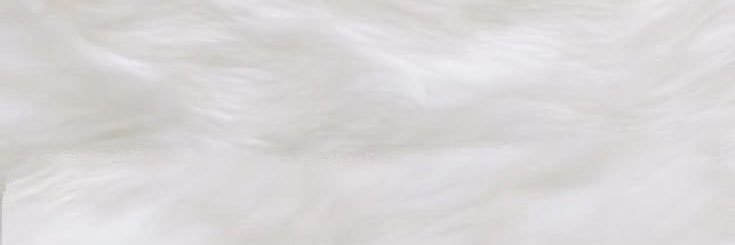 のあ banner