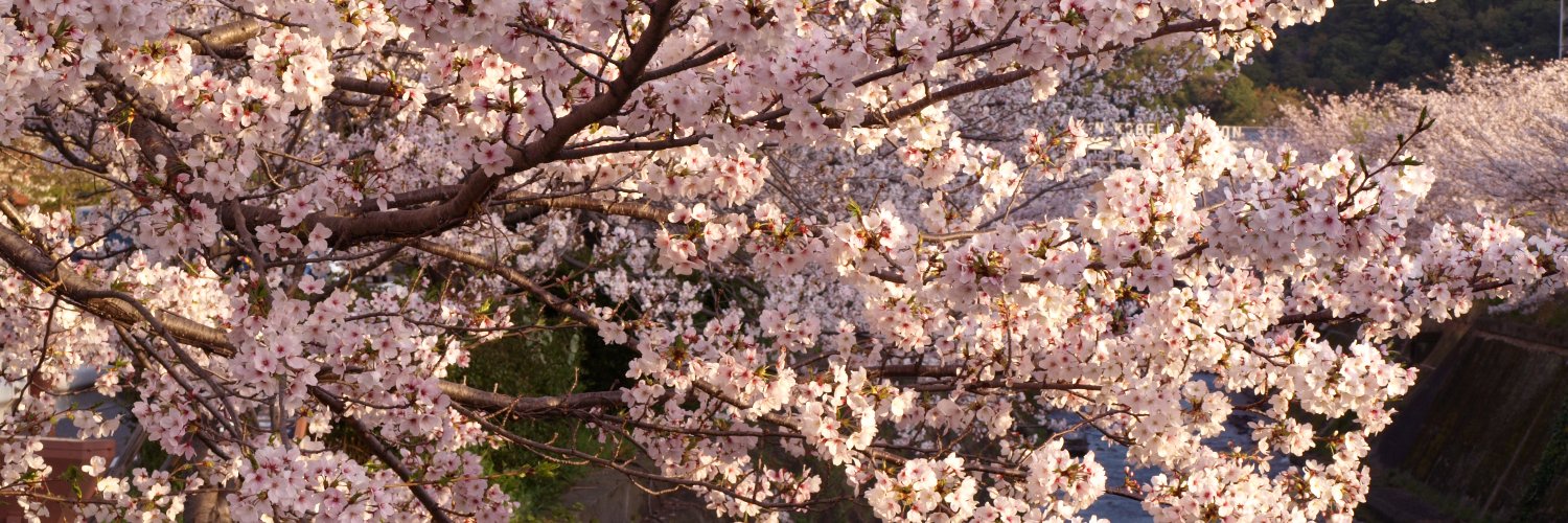 kappibara once a 伏熊 banner