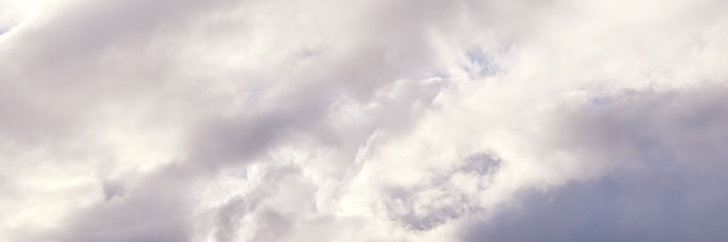 Liiluu30's profile banner image