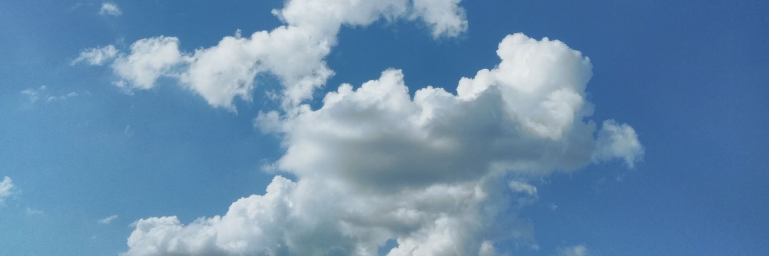 cielo designs (@CieloDesignsUS) / Posts / X