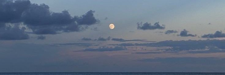 moonneversleep7's profile banner image
