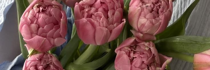 za banner