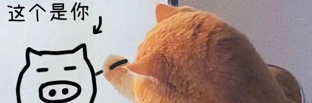 catnba511230's profile banner image
