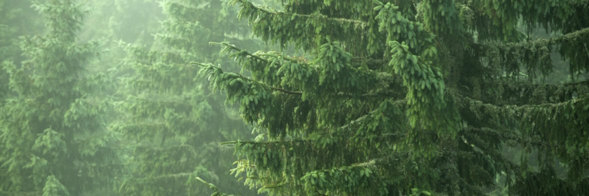 bobfriendly5683's profile banner image