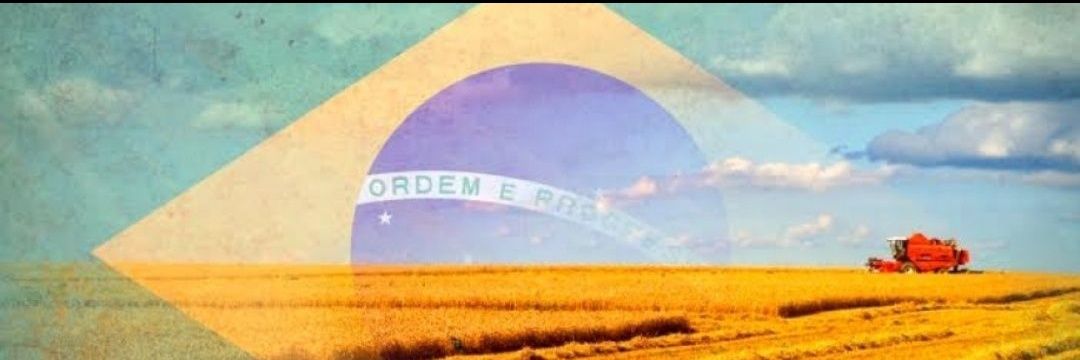 UN IS A CANCER ✝️🇧🇷🇦🇷🇺🇲🇮🇱🇸🇻🇵🇹🇮🇹 banner