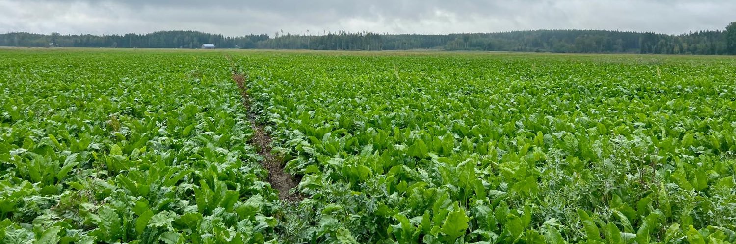 Minna-Mari Purtsi-Toimi ~ Minnis banner