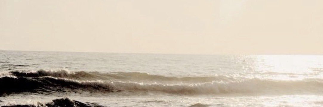 sh66x3's profile banner image
