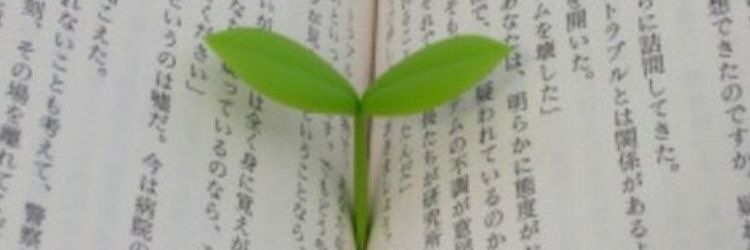 mmilioz's profile banner image