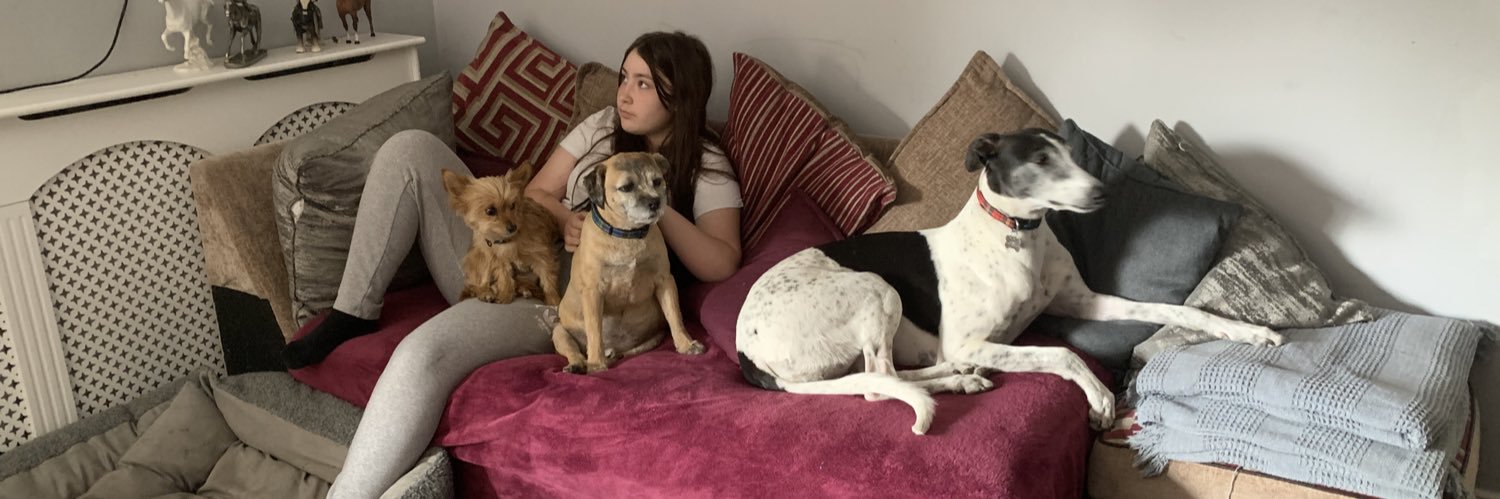 Sully151261's profile banner image