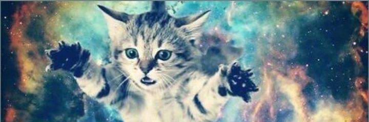 🍒 banner