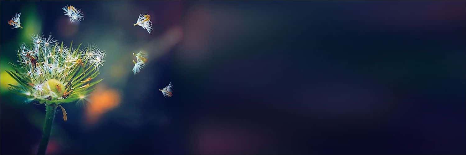 Coodo3822's profile banner image