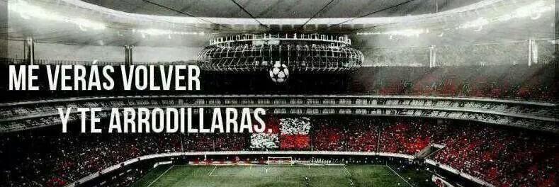 Venado1908's profile banner image