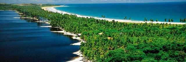 Ibrahim 🇧🇷 🇨🇺 🇵🇸 🇮🇷 banner