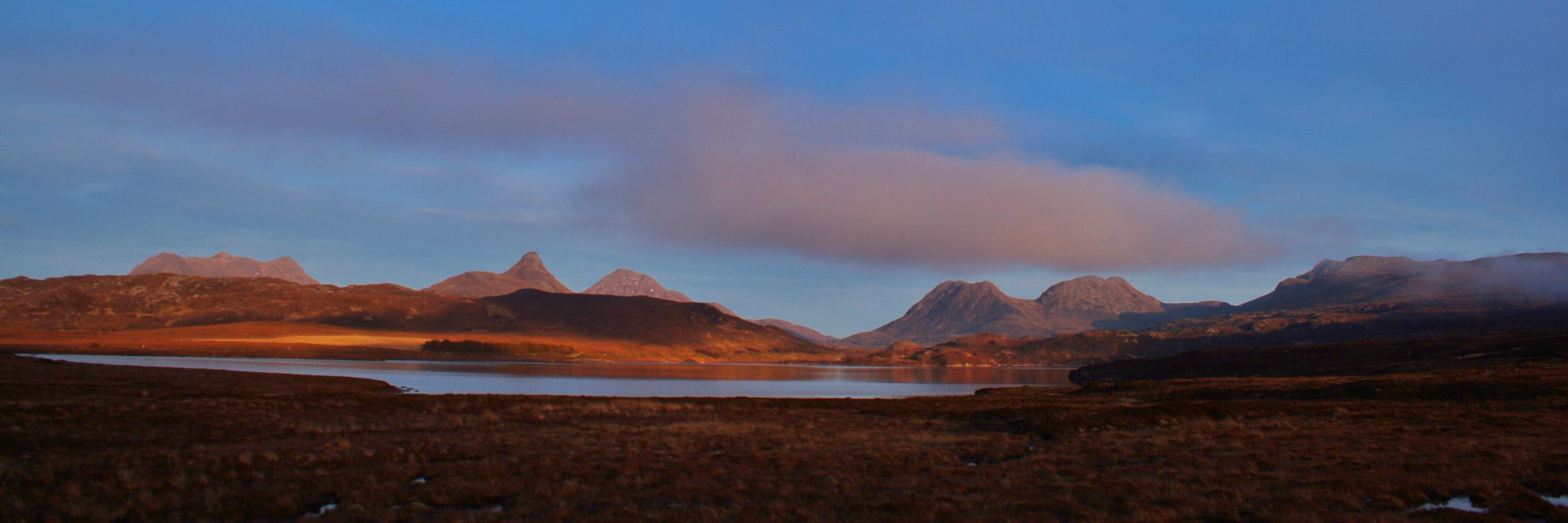 Fiona Pandelus banner