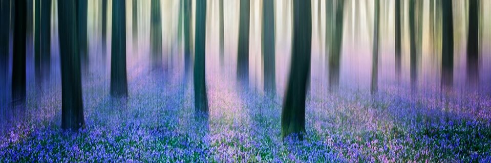 Graham Custance banner