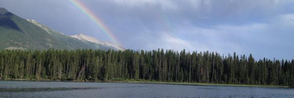 JonFines Profile Banner