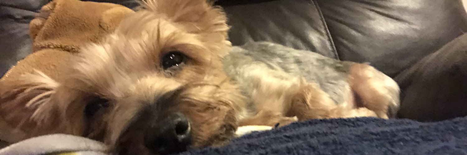 thekellyca's profile banner image