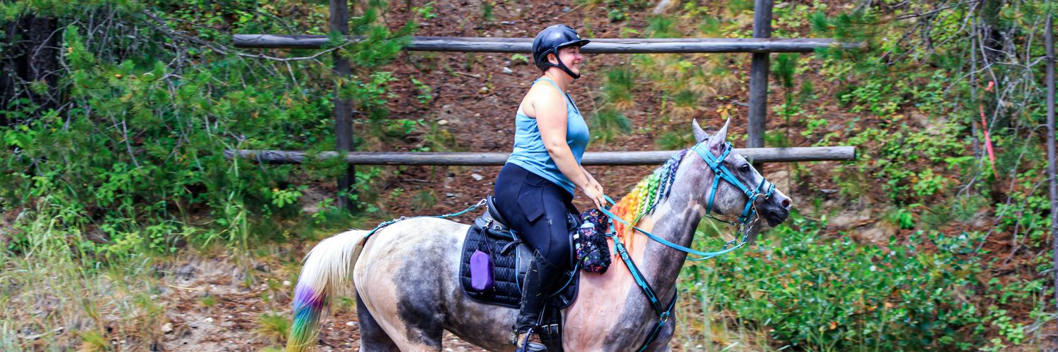 CortneyHonan's profile banner image