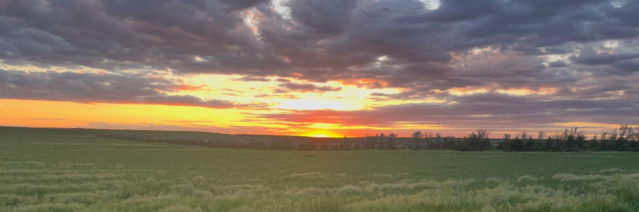 randasd605's profile banner image