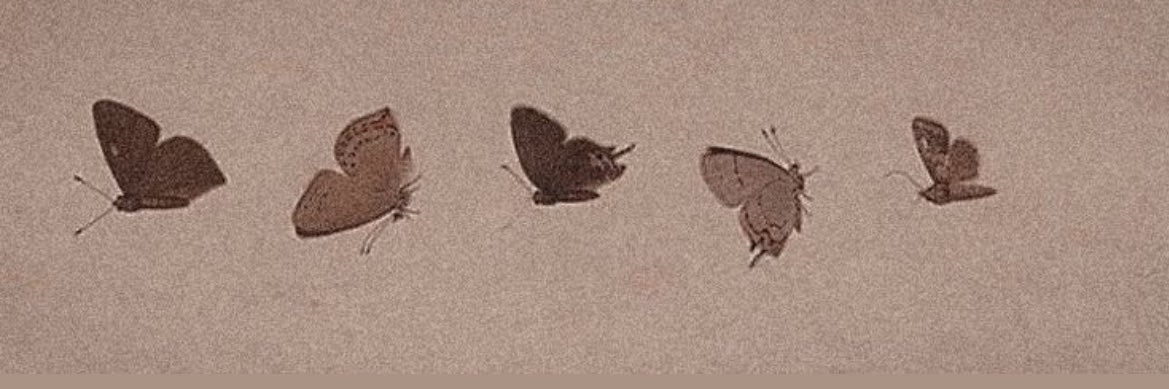 incissun's profile banner image