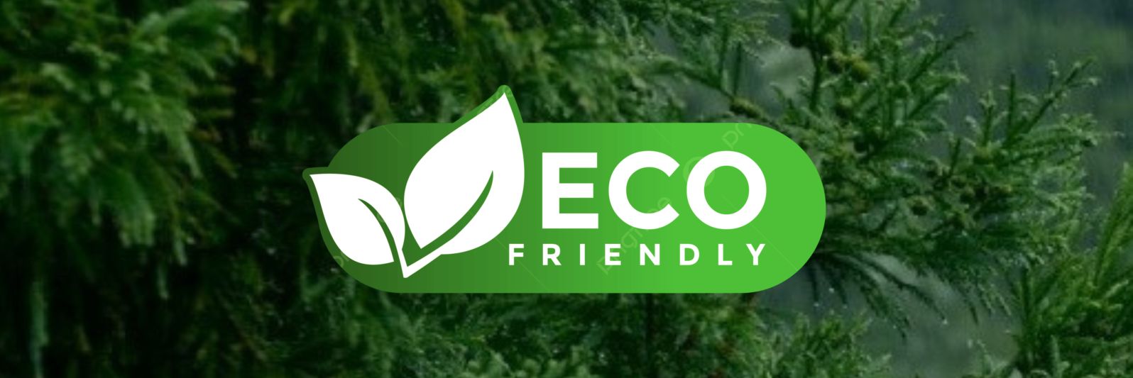Eco tonic | wellness 🌿's banner