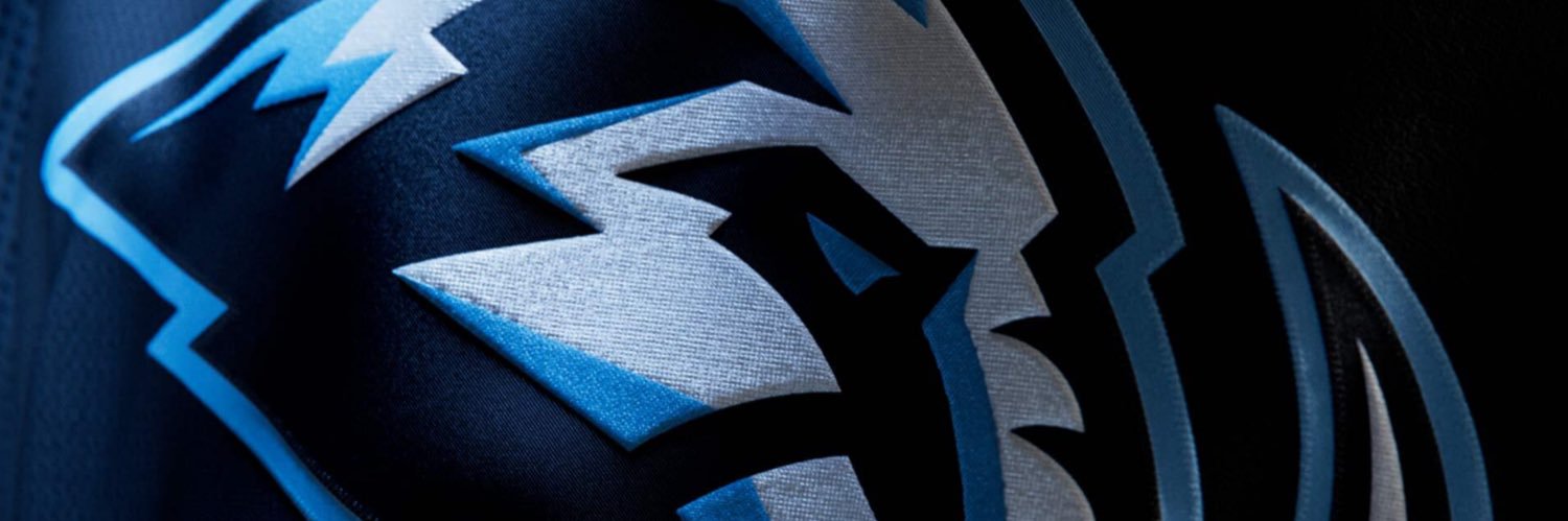 mammoth updates banner