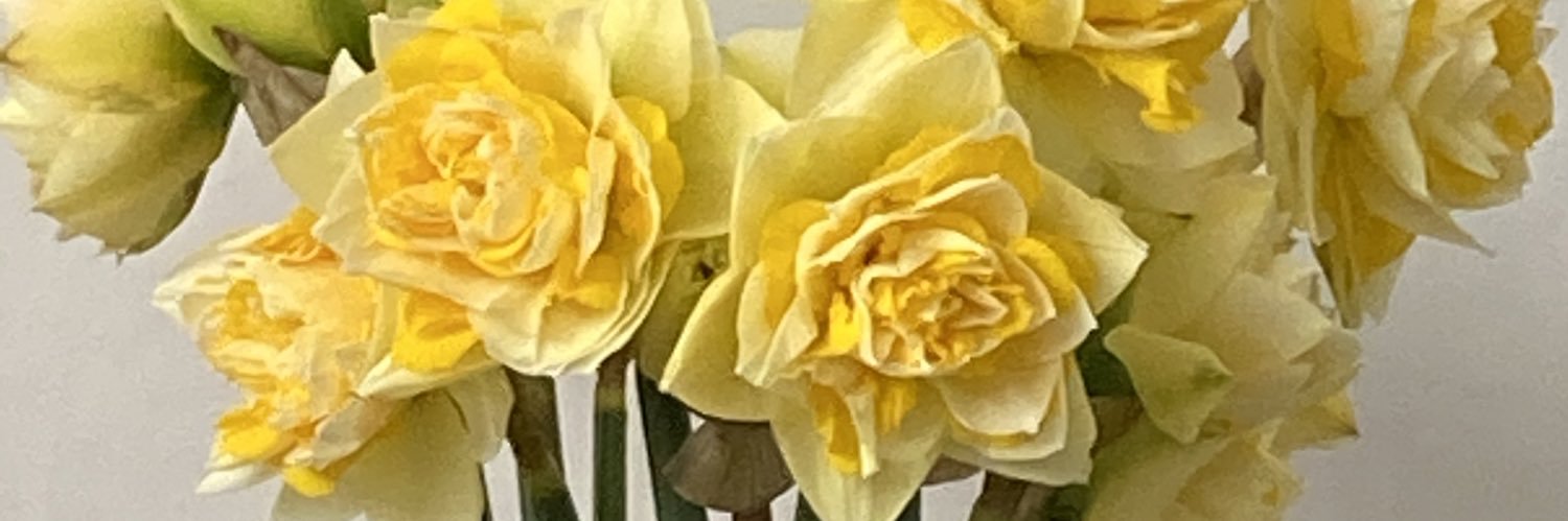 mschin01's profile banner image