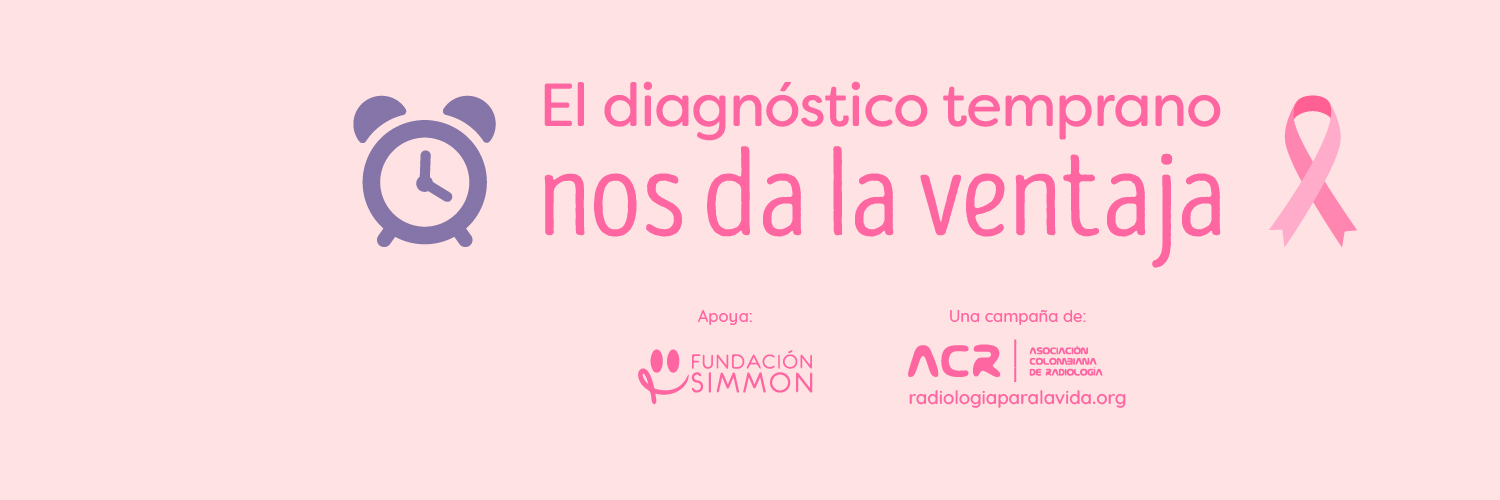 Fundación SIMMON banner