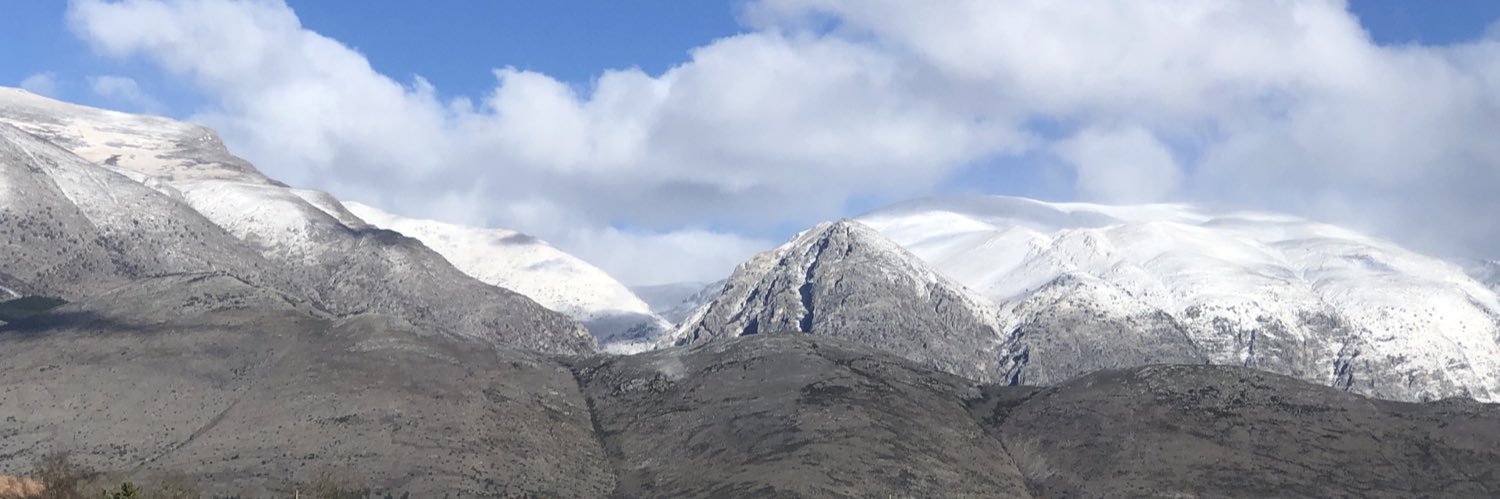 Bea Spadacini banner