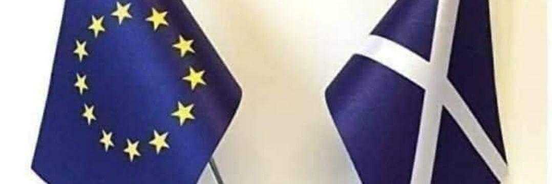 Mario 🏴󠁧󠁢󠁳󠁣󠁴󠁿🌊🌊🇪🇺 banner
