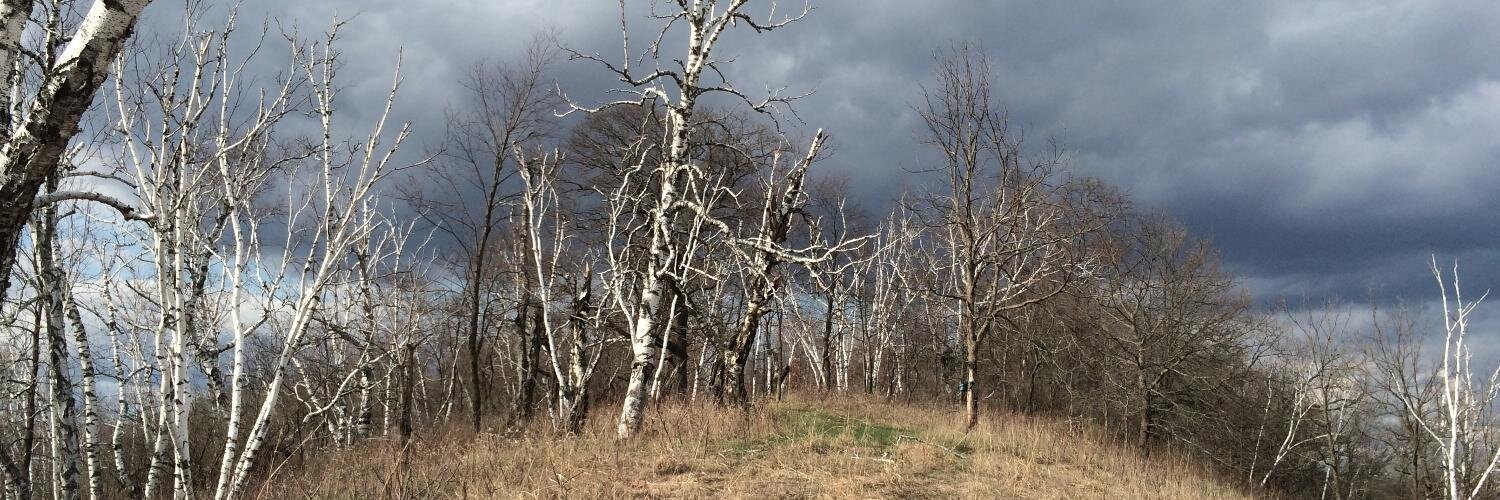 Mike O'Connor banner