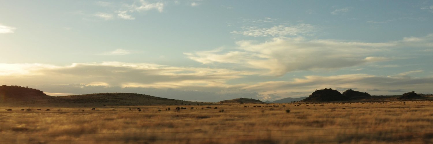 Ashley Peterson banner