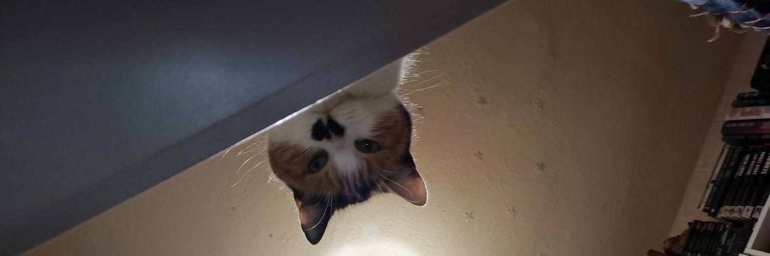 fleq's profile banner image