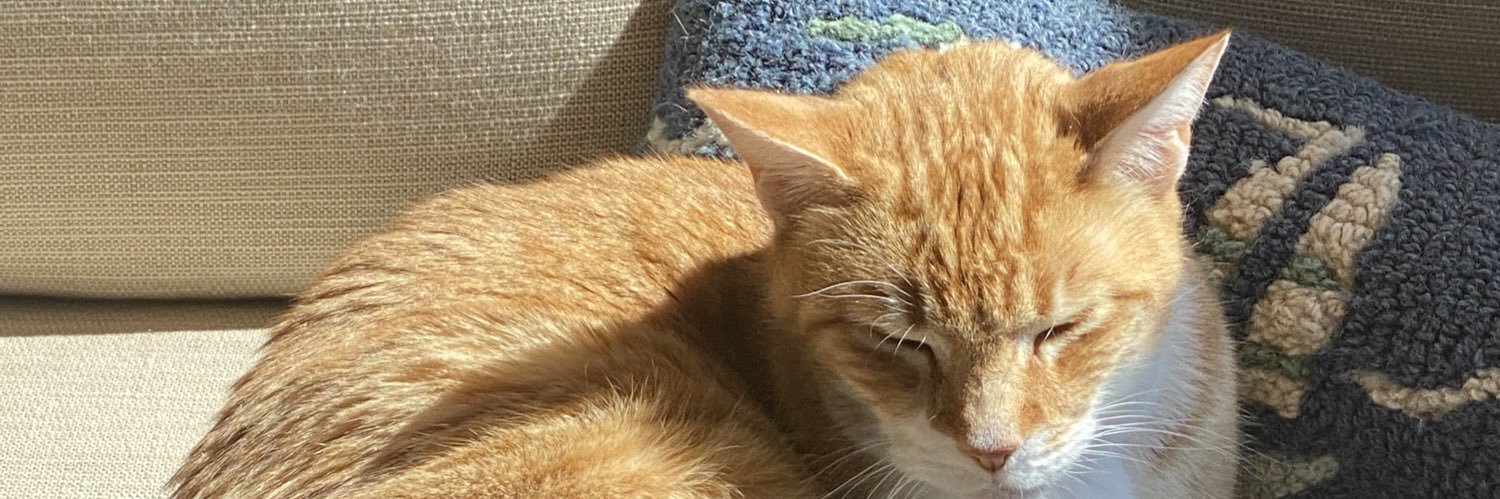 snitchforadolla's profile banner image