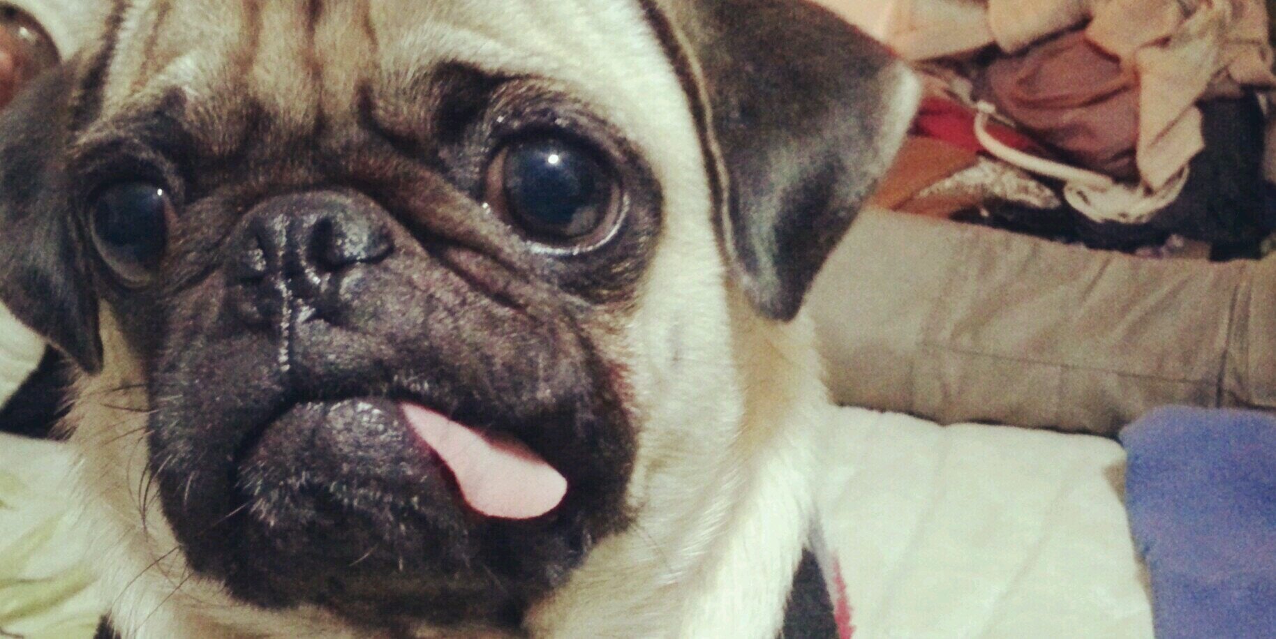 ItsMeRulo's profile banner image