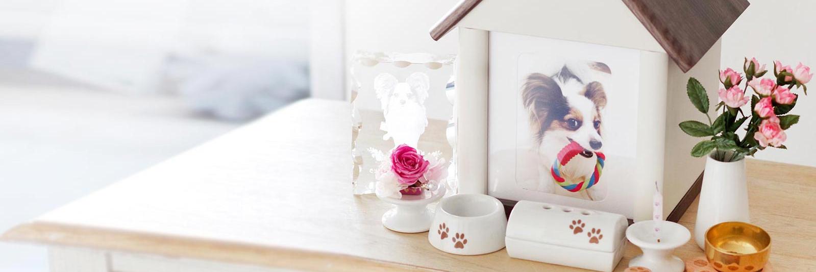 dearpet's profile banner image