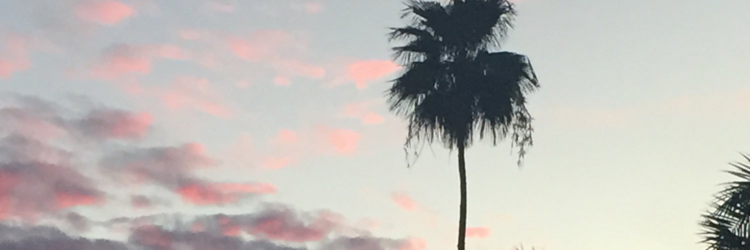 BHoyland's profile banner image