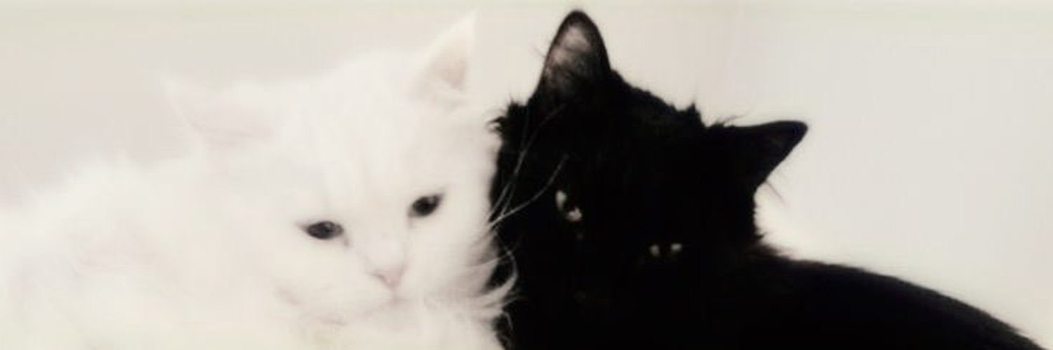 Hirunkitty ‏݁𐙚 Wu era banner